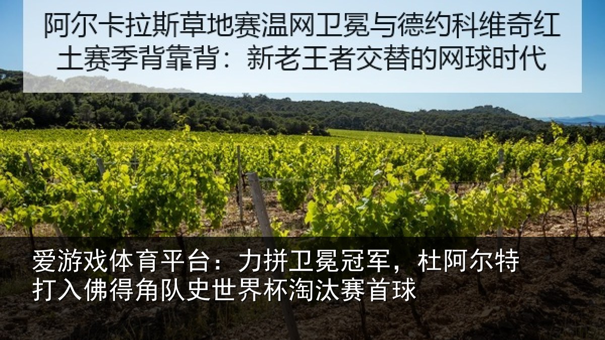 爱游戏体育平台：力拼卫冕冠军，杜阿相关情况史世界杯淘汰赛首球